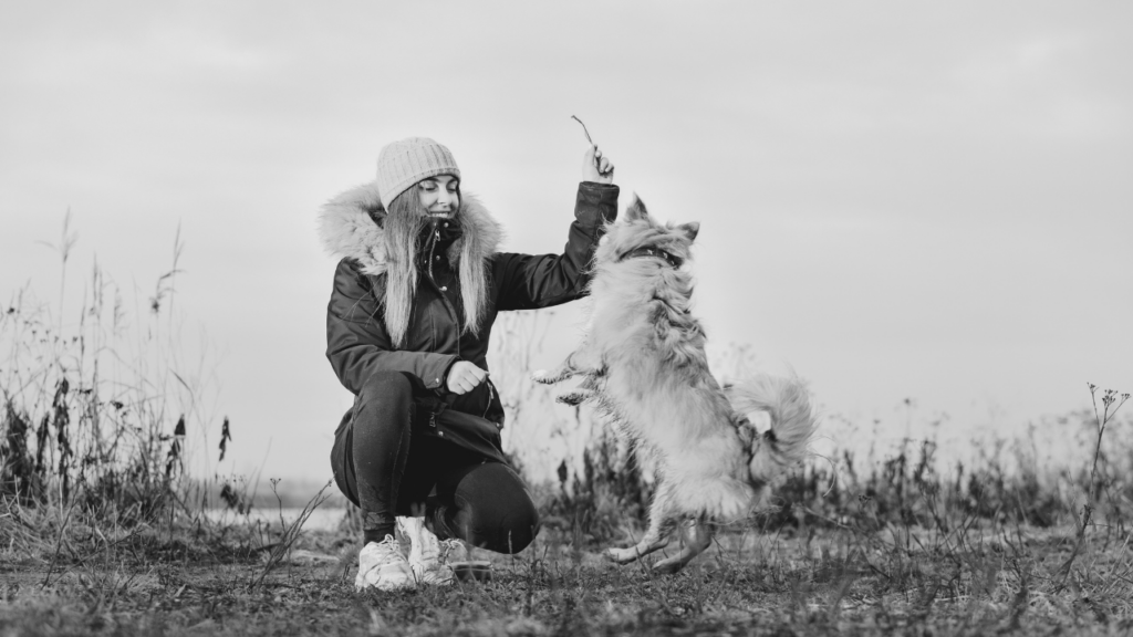 Black and white photo of a woman crouching in a field holding up a treat for a fluffy dog standing on its hind legs