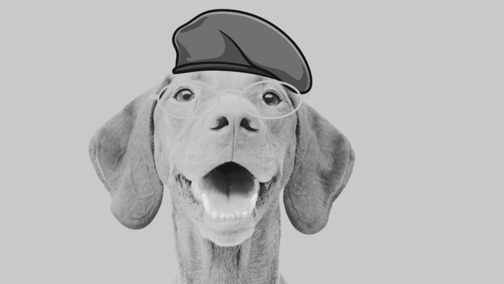 Black and white photo of a smiling Weimaraner wearing a cartoon beret and round glasses